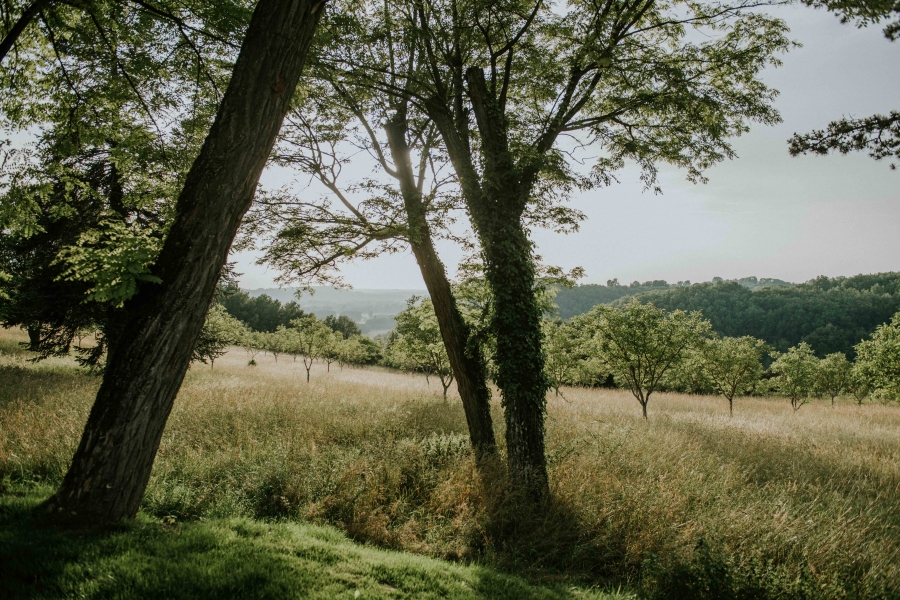 FIH Fotografie » Vief & Merijn, The Fairytale Chateau